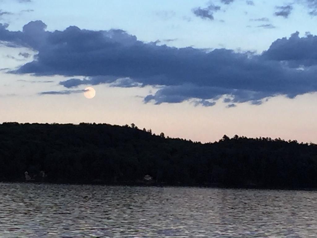 Little Hawk Resort & Marina Algonquin Highlands Exterior photo